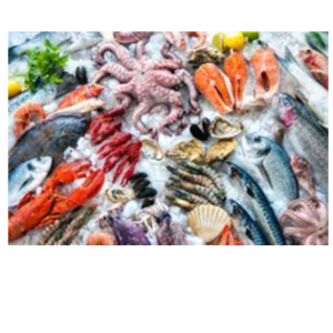 Fish & Sea products