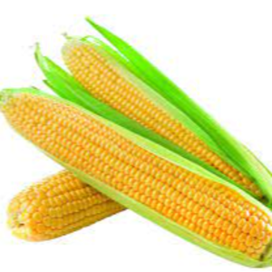 Corn