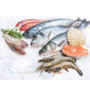 Frozen fish, shrimps and others