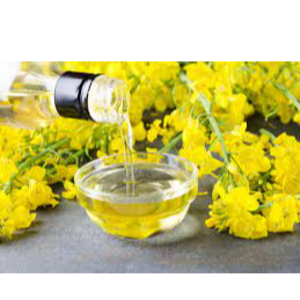 canola oil