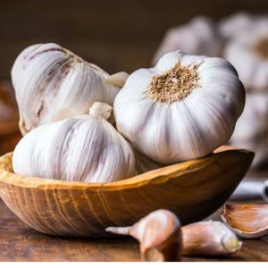 Garlic