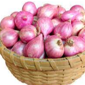 Onion