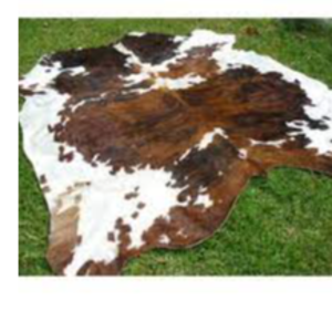Wet and dry cow hides and skin
