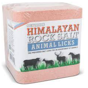 himalayan salt animal lick