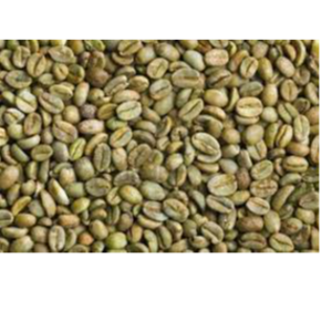 Robusta coffee beans