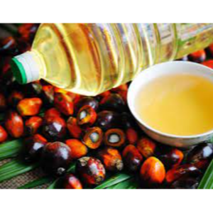 Palm Oil
