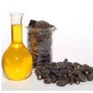 Crude Jatropha Oil