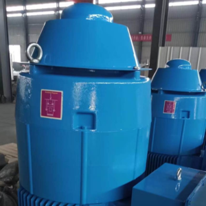 Vertical shaft motors