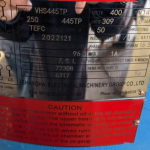 Vertical shaft motors