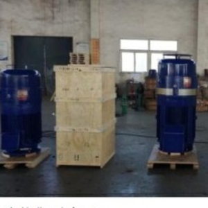 Vertical hollow shaft motors