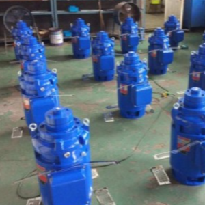 Vertical hollow shaft motors