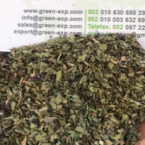 Dried Basil Leaves Crushed High Quality ISO