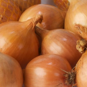 fresh Yellow and red onions