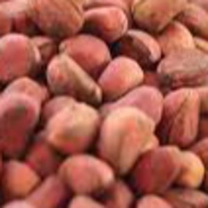 kolanut