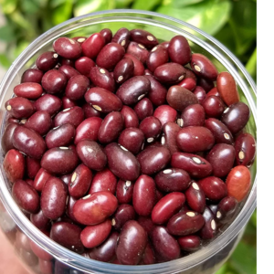 Rajma