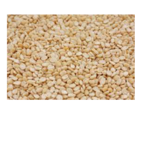 Udid dal