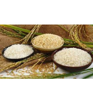 organic rice