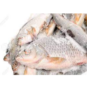 Frozen Fish
