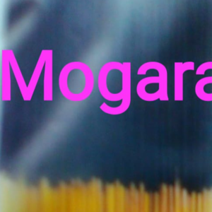 Mogara Cented Agarbatti