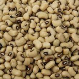 Black Eyed Beans (Haricots aux yeux noirs)