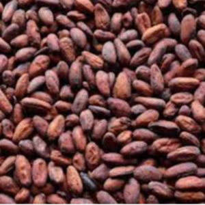 Cocoa Beans (Cacao)