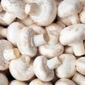 MUSHROOM