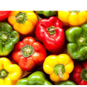 capsicum