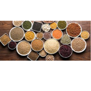 PULSES