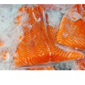 Salmon Trout(Fresh Fillets,	Frozen Fillets)