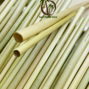 Grass straw Vietnam 100% Natural Eco - friendly Biodegradable Custom Gift Box
