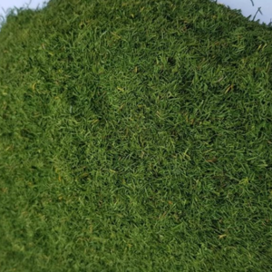 Dill Tips Sun Dry