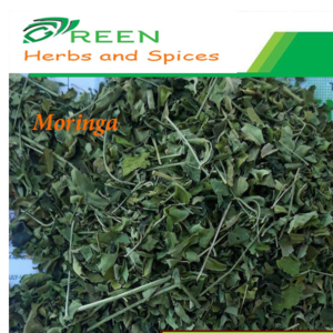 Egyptian Moringa Leaves ISO Certificated