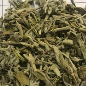 Sage Leaves