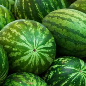 Fresh Watermelon