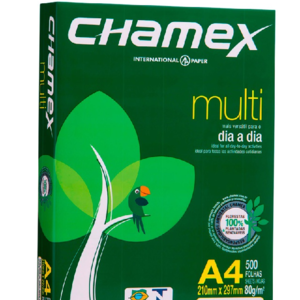 Chamex A4 80 gsm best printing paper