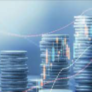 Corporate Finance For BG SBLC