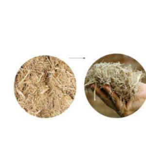 Sugar meel compost