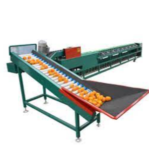 Veg grading machine