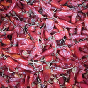 Red Chilli