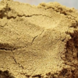 Coriander