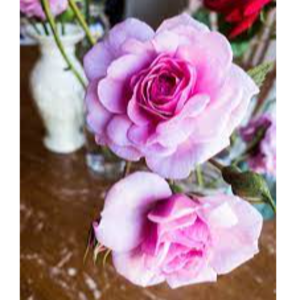 Fresh cut roses and summer flowers