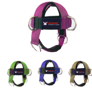 Head harness