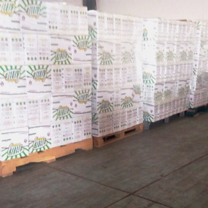Italian Spaghetti Pasta 250 gm l Tilly High Quality and Dried Pasta l Egyptian Pasta Brand