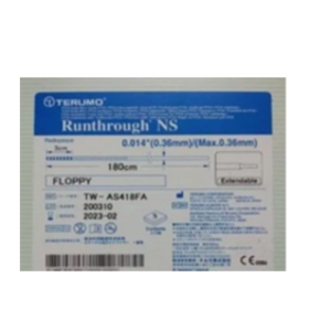 Runthrough NS (TERUMO)