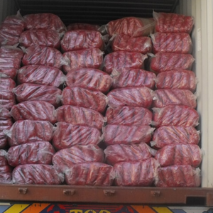 High quality short cut 25 kg Egyptian Pasta For Sale | Egypt top quality pasta exporter wholesale