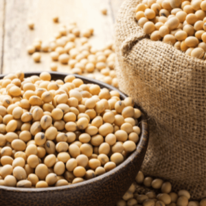 Non GMO Soybeans