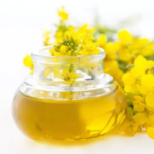 Corn Oil