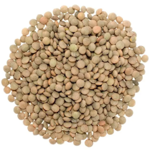 Dried Brown Lentils