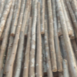Eucalyptus Brown Teka Nilgiri Wooden Pole