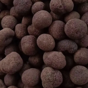 Black Truffle